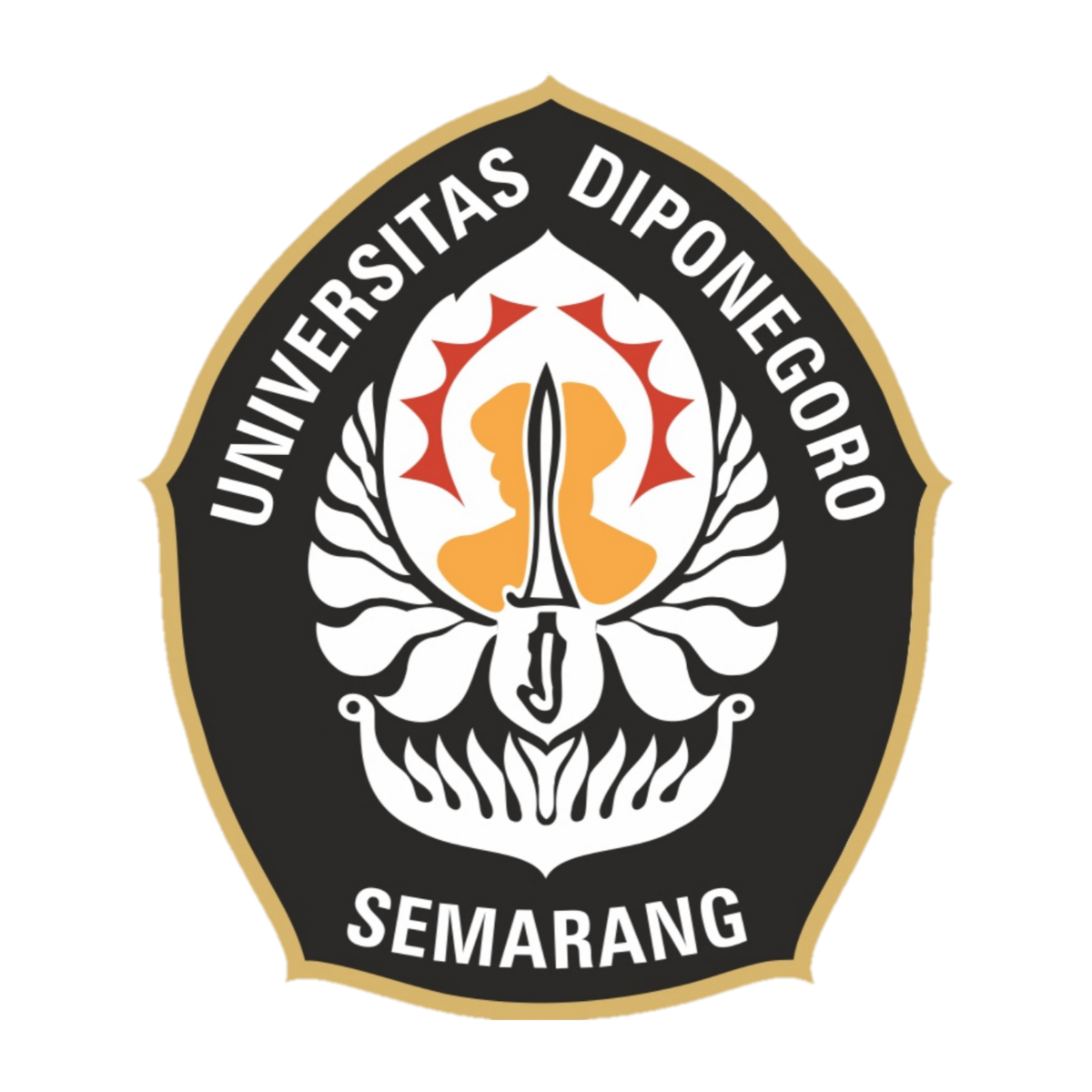 UNDIP